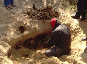 Pandharwada Mass_Grave