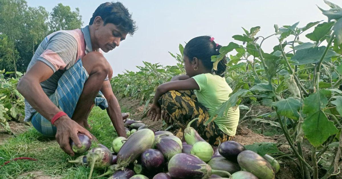 Hailstorms spell doom for farmers in Bengal | CJP
